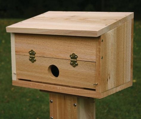 You aren't the only one looking to stay warm and safe during winter storms. Consider a roosting box to provide a haven for local birds. Birdhouses Bird Feeders, Garden Birdhouses, Bird House Feeder, Bird House Plans, Bird House Kits, Bird Aviary, Bird Houses Diy, Diy Birds, Winter Bird