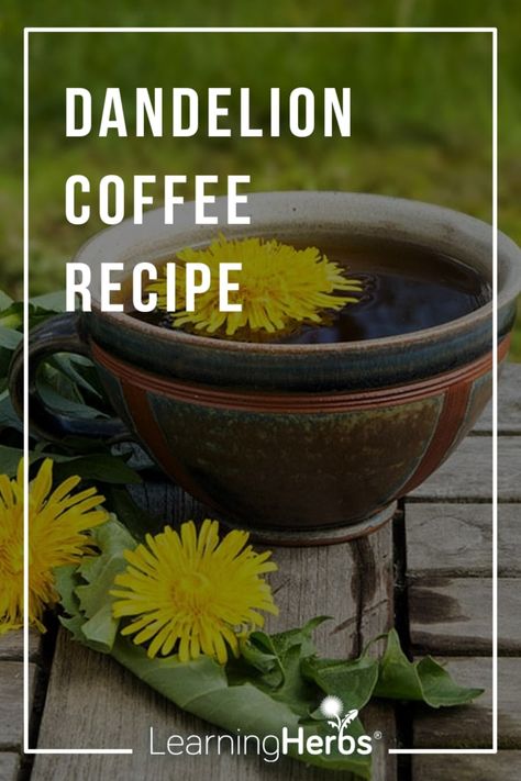 Dandelion Coffee Recipe Dandelion Coffee, Wild Food Foraging, Herbal Remedies Recipes, Loose Leaf Teas, Herbal Teas Recipes, Herbal Recipes, Herbal Tinctures, Herbal Apothecary, Sciatic Nerve Pain