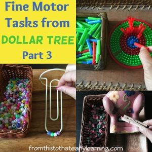 Preschool Fine Motor Skills, Montessori Teacher, Preschool Fine Motor Activities, Fine Motor Activities For Kids, Preschool Fine Motor, Activities For Preschoolers, Gross Motor Activities, Task Boxes, Fine Motor Skills Activities