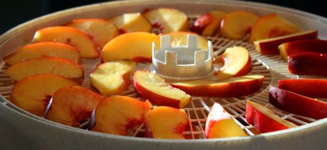 Dehydrated Nectarines, How To Dry Fruit, Nectarine Recipes, Fruity Snacks, Root Cellar, Dry Fruit, Make Ahead Lunches, Dehydrated Food, Emergency Food