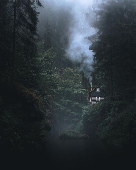 Cabin In The Woods Aesthetic, Supraviețuire Camping, Dark Forest Aesthetic, Fairytale House, Cabin Aesthetic, Cabin In The Mountains, Boat Ride, Forest House, The Fog