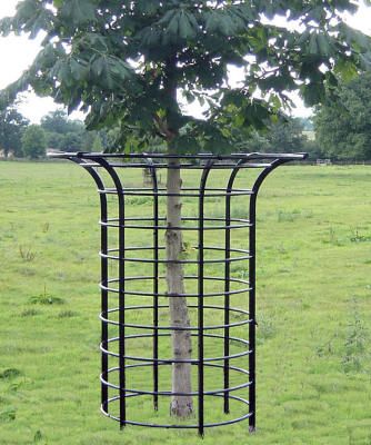 Estate Grounds, Apple Tree Care, Estate Fencing, Tree Guards, Tree Protection, Tree Grate, Deer Resistant Garden, Tree Fence, Deer Fence