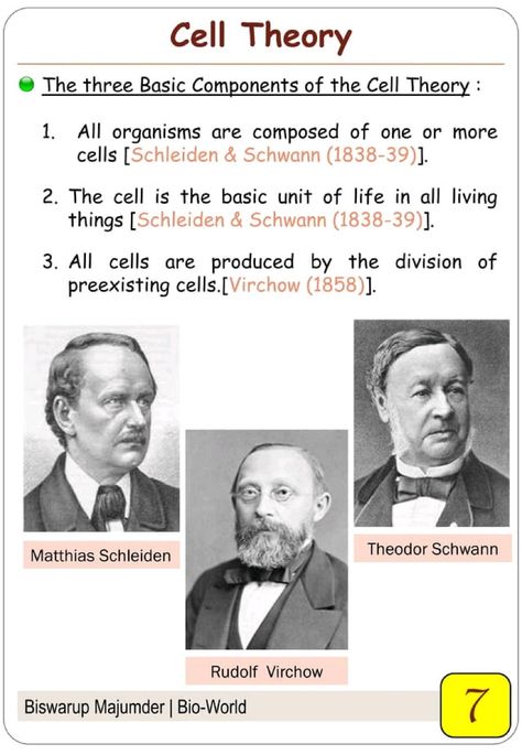 Cell The Unit Of Life Notes Class 11, Cell The Unit Of Life Notes, Cell The Unit Of Life, Rudolf Virchow, Google Search Bar, Cell Theory, Science Study, Life Notes, Biology Lessons