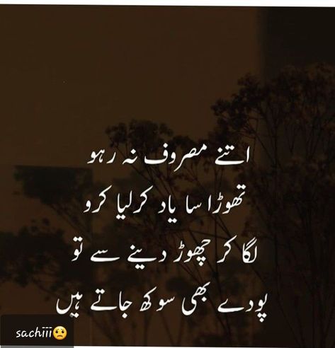 Dont Ignore Me Quotes, Ignore Me Quotes, Missing Someone Special, Attitude Shayri, Urdu Sayings, Being Ignored Quotes, Anniversary Quotes Funny, Nice Poetry, Romantic Poetry Quotes