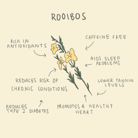 Why do we choose rooibos tea instead of black tea for our chai blend? 🧐 🍵 Rooibos tea is naturally caffeine free, meaning you can drink Frank n Al before bed, if you’re breastfeeding, wanting to reduce/eliminate caffeine from your diet 🍵 Rooibos has lower tannin levels! Tannins are considered nutritionally undesirable because they precipitate proteins, inhibit digestive enzymes and affect the utilization of vitamins and minerals.* 🍵 Your skin loves rooibos! Rooibos is rich in alpha hyd... Rooibos Tea Benefits, Witch Things, Rooibos Tea, Can Drink, Tea Benefits, Digestive Enzymes, Caffeine Free, Before Bed, Black Tea