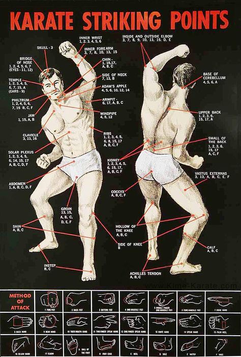 2.POINTS/Karate Striking points: I have this POSTER in my garage, next to my punching bag Kenpo Karate, Kyokushin Karate, Trening Sztuk Walki, Shotokan Karate, Self Defense Moves, Self Defense Martial Arts, Karate Martial Arts, Self Defense Techniques, Pencak Silat