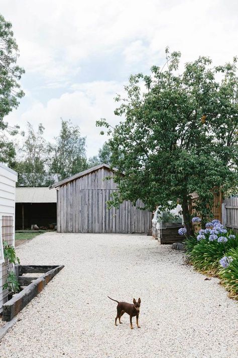 A move to the Macedon Ranges proves a natural fit for a couple looking to return to their roots. They were looking for a Victorian cottage with character, and the pair already had an idea about how they'd like to style the interior: with vintage pieces, op-shop finds and items found at local markets. Victorian Cottage Interior, Weatherboard House, Sweden House, Gravel Driveway, Old Oak Tree, Cottage Interior, Victorian Cottage, Farmhouse Interior, Rustic Farmhouse Style