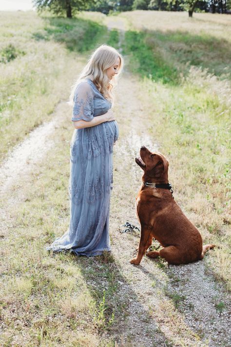 Maternity photography session with dog in grass Maternity With Dog Photoshoot, Winter Maternity Photoshoot With Dog, Fall Maternity Shoot With Dog, Maternity With Dog Photography, Maternity Photos With Dogs Ideas, Maternity Pictures Dog, Maternity Photography Poses With Dogs, Maternity Picture With Dog, Maternity Shoot Dog