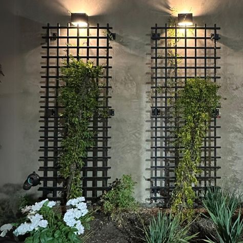 Whether you're looking to create an eye-catching focal point or just need something to help your plants grow, Let our modern trellis guide your outdoor life and allow your plants to grow, bloom and blossom adding natural green beauty to your space. Hand forged to your specifications here in the in the USA. Pick from multiple stunning finishes all powder coated to ensure it can withstand hard outdoor elements and last years to come. Easy installation that takes no more than 30 minutes. Easy to mo Ivy Walls Outdoor, Wall Plants Outdoor, Grid Trellis, Living Walls Outdoor, Trellis Wall, Balcony Tiles, Plant Walls, Jeff Wall, Bourbon Room