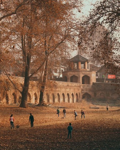 4,989 Likes, 18 Comments - ESPNcricinfo (@espncricinfo) on Instagram: “Shades of autumn in Nishat Garden, Srinagar 🍂🏏 #YourShots by @_mehranbhat #cricket #autumn #fall…” Kashmir People, Kashmir Aesthetic, Aesthetic Culture, Altered Photo, Srinagar, Chiaroscuro, South Asia, People Photography, Agra