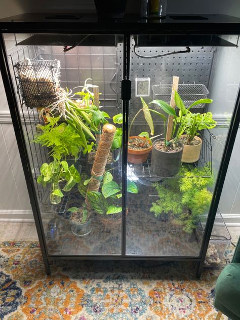 Ac Infinity, Greenhouse Cabinet, Diy Mini Greenhouse, Ikea Greenhouse, Exhaust Fans, Indoor Greenhouse, Plants Decor, Mini Greenhouse, House Plants Decor