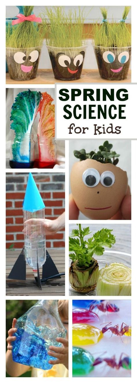 SPRING SCIENCE FOR KIDS- 30 FUN ACTIVITIES! Spring Science Experiments, Spring Science Activities, Vetenskapliga Experiment, Spring Science, Kid Science, Kid Experiments, Spring Preschool, Science Activities For Kids, Kindergarten Science