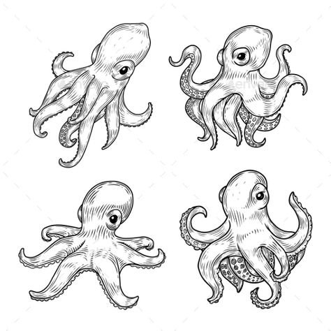 Tentacle Hair Drawing, Cuttlefish Drawing, Biology Cartoon, Octopus Aquarium, Octopus Outline, Sea Sketch, Underwater Vector, Tentacle Hair, Octopus Sketch