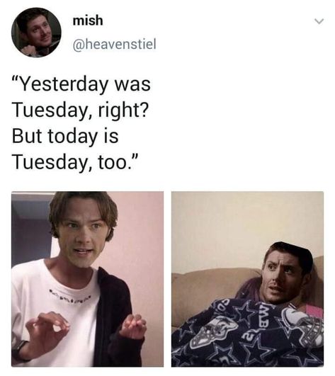 Supernatural Crafts, Supernatural Jokes, Supernatural Tumblr, Spn Memes, Supernatural Actors, Supernatural Wallpaper, Supernatural Pictures, Winchester Supernatural, This Meme