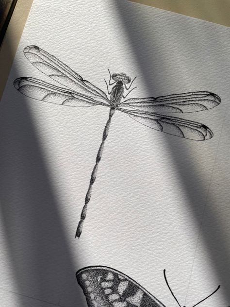 Dragonfly Tattoo Dotwork, Realistic Dragon Fly Tattoo, Realistic Dragonfly Drawing, Dragon Fly Dot Art, Dragon Fly Tattoo Drawing, Dragonfly Sketch Tattoo, Dragonfly Design Tattoo, Dragonfly Design Drawing, Dragonfly Pencil Drawing