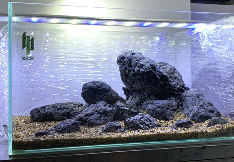 55 Gallon Aquascape, Lava Rock Aquascape, Aquascape Design, Aquarium Setup, Turtle Tank, Hardscape Design, Aquascaping, Aquarium Design, Lava Rock