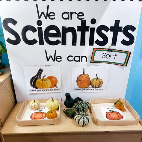 Fall Preschool Science, Preschool Pumpkin Activities, Science Center Preschool, Preschool Pumpkin, Play To Learn Preschool, Pre-k Science, Pumpkin Unit, We Are Scientists, Science For Toddlers