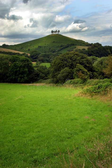 Tree On A Hill, Job Portfolio, Bill Design, Hickory Tree, Pj Harvey, Stormy Sky, Photos Hd, A Hill, Stock Photography Free