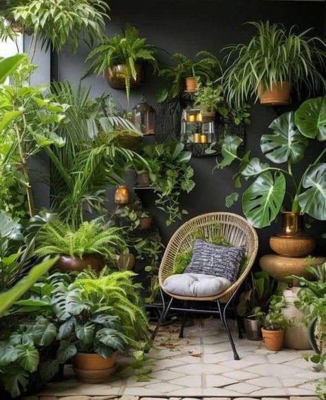 Patio Plants Decorating Ideas, Jungle Patio Ideas, Small Patio Plants, Small Indoor Garden, Indoor Garden Design, Wall Plants Indoor, Small Patio Garden, Hanging Plant Wall, Small Courtyards