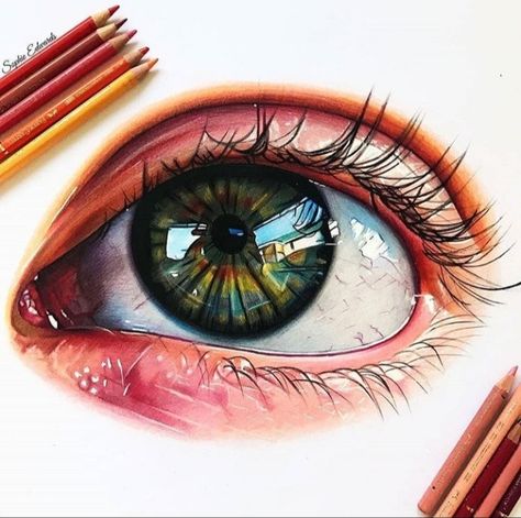 Realistic Eye Drawing, Color Pencil Sketch, Prismacolor Art, Eyes Artwork, Eye Painting, Pencil Art Drawings, Art Drawings Sketches Creative, Color Pencil Art, Realistic Art