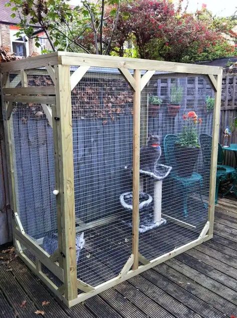 Outside Cat Enclosure, Catio Plans, Ikea Cat, Diy Cat Enclosure, Outdoor Cat Shelter, Chat Diy, Kat Diy, Cat Enclosures, Cat Crate