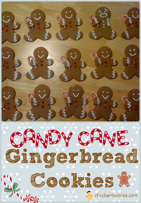 cute gingerbread cookies! These little guys are holding a candy cane, but what else could you have them hold? hmmm . . . Cute Gingerbread Cookies, Chocolate Gingerbread Cookies, Mini Candy Canes, Gingerbread Recipe, Gingerbread Man Cookies, Crinkle Cookies, Gingerbread Men, Seasonal Recipes, Chocolate Cherry