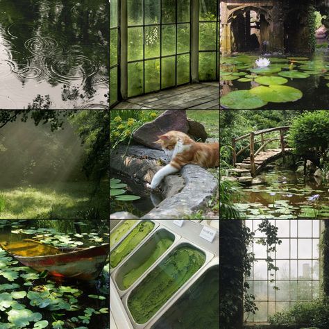 Green And Brown Mood Board Aesthetic, Light Green Moodboard, Green And Brown Mood Board, Dark Green Moodboard, Green Moodboard Aesthetic, Dark Green Palette, Moodboard Adopts, Cat Moodboard, Green Mood Board