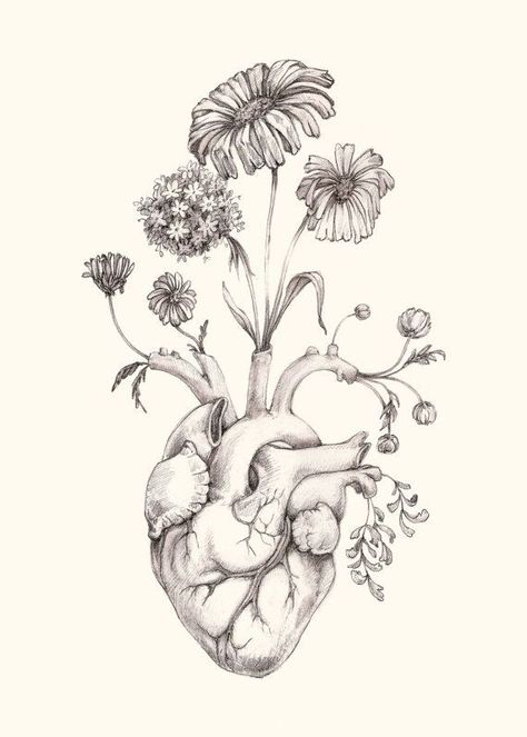 Flower love Heart Drawing, Human Heart, Skin Art, Anatomy Art, Heart Art, Heart Tattoo, Future Tattoos, Original Drawing, 그림 그리기