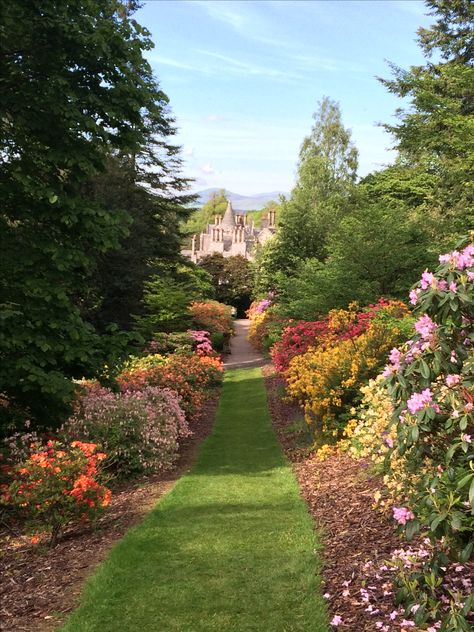 Dawyck Botanic Gardens, Scotland Amino Background, Garden Aesthetic, Botanic Gardens, Botanic Garden, Scotland Travel, Spring Garden, Travel Itinerary, Budget Travel, Botanical Gardens