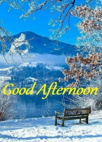 Afternoon Greetings, Afternoon Wishes, Afternoon Images, Greetings For The Day, Sunday Wishes, Good Afternoon Quotes, Hello Saturday, Afternoon Quotes, Daily Greetings