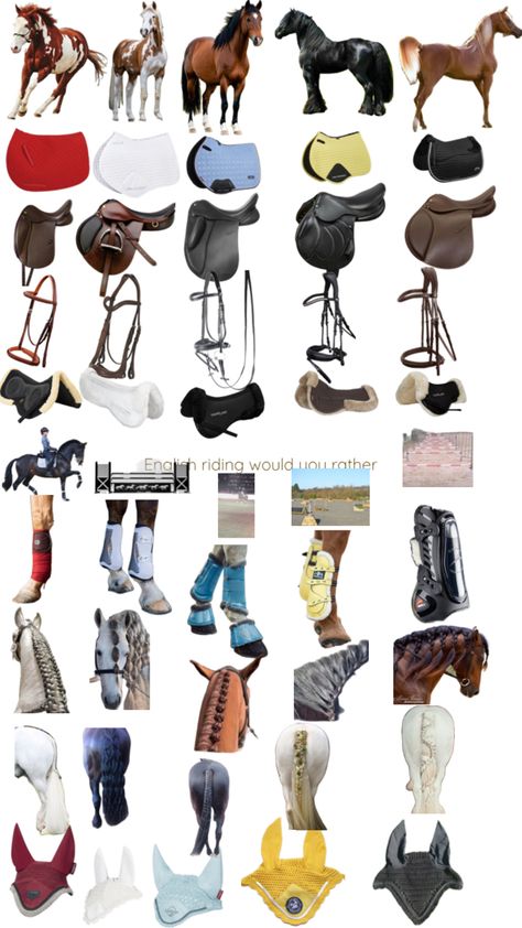 #pickyourhorse#havefun#tack#yay#englishriding English Equestrian Outfits, Equestrian Style Outfit, English Horse Tack, Horsey Life, Horse Riding Tips, Horse Riding Clothes, English Horse, English Riding, Horse World