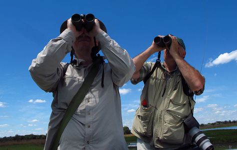 Birding Festivals » Bird Watcher's Digest Watching Aesthetic, Nature Festival, Bird Watchers, Bird Garden, Aesthetic Outfit, Bird Watching, Aesthetic Clothes, Around The Worlds, Birds