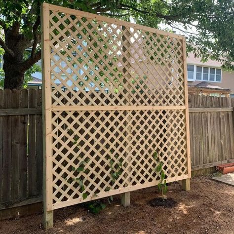 Backyard Trellis, Garden Dividers, Diy Trellis Ideas, Patio Trellis, Pea Trellis, Lattice Patio, Diy Privacy Screen, Wall Trellis, Trellis Fence