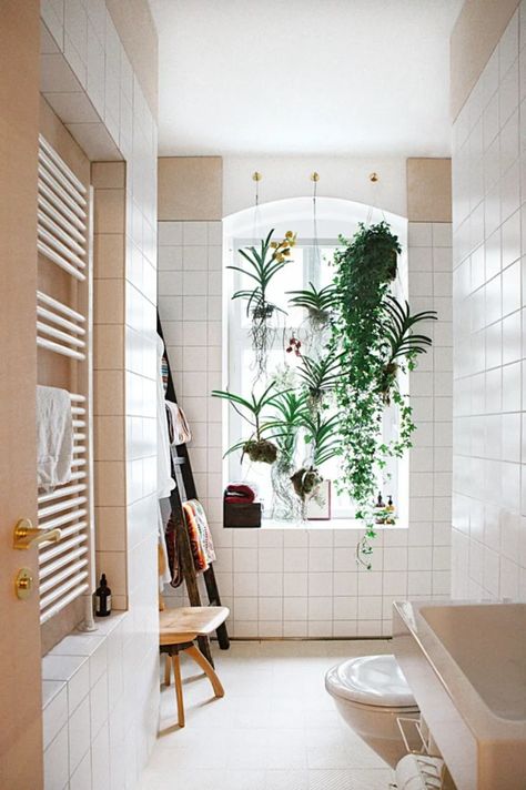 Home “Alone”: Small Space Hacks for Creating Privacy At Home | Apartment Therapy Bathroom Window Privacy, Small Space Hacks, Bathroom Window Curtains, Privacy Plants, Neutral Bathroom, Bathroom Window, Window Privacy, Bathroom Plants, Bathroom Windows