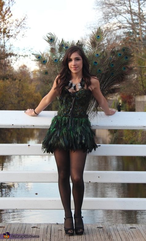 Peacock Halloween Costume For Women, Peacock Costume Diy, Peacock Halloween Costume, Pretty Costumes, Female Peacock, Adult Women Halloween Costumes, 2015 Halloween Costumes, Peacock Costume, Pretty Costume