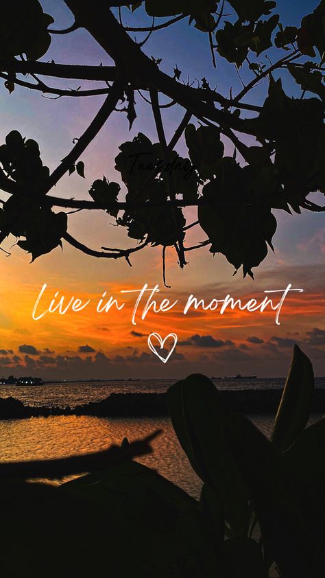 Live The Moment Wallpaper, Vision Board Photos Pictures Happiness, Live In The Moment Aesthetic, Vision Board Photos Pictures Self Care, Living In The Moment Aesthetic, Vision Board Photos Pictures Health, Live In The Moment Wallpaper, Nice Wallpaper For Phone, Enjoy Life Pictures