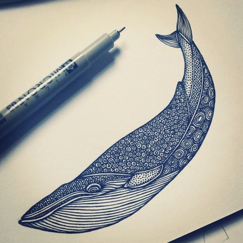 how to draw a blue whale - Google Search Blue Whale Drawing, Illustration Art Drawing Sketches, Artworks Ideas, Whale Sculpture, Aquatic Art, Whale Drawing, Whale Illustration, Animals Sea, Whale Tattoos