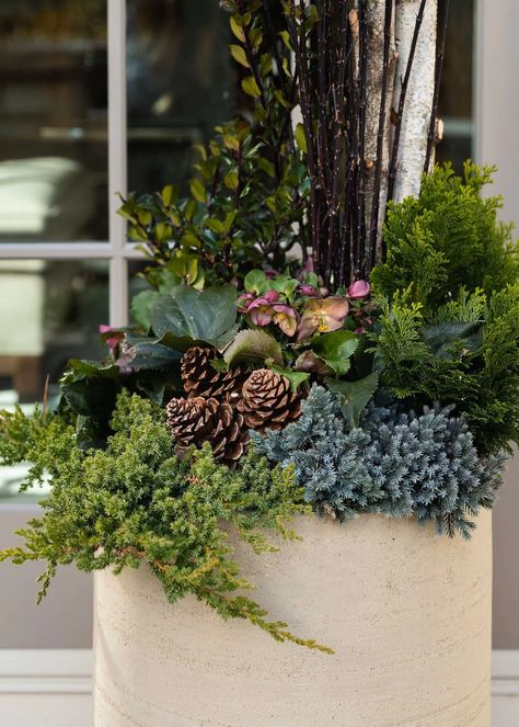 Large Winter Planters, Christmas Container Ideas, Winter Planters Front Porches, Patio Planter Ideas Plant Pots, Outdoor Planters Ideas, Fall Urns, Fall Container Plants, Winter Pots, Winter Containers