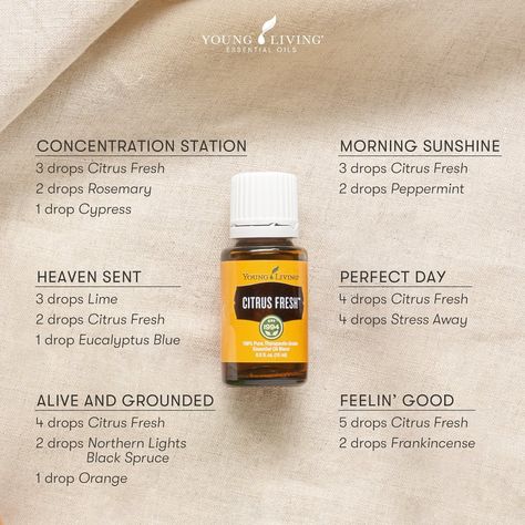 Fresh Diffuser Blends, Young Living Diffuser Recipes, Citrus Fresh Essential Oil, Diffuser Blends Young Living, Young Living Oils Recipes, Living Oils Recipes, Essential Oil Diffuser Blends Recipes, Young Living Essential Oils Recipes, Essential Oils Guide