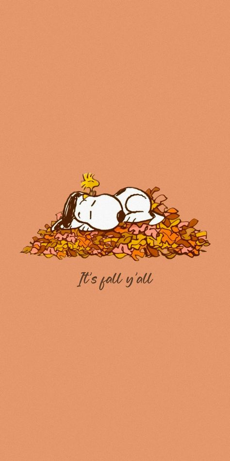 Peanuts Wallpaper, Fall Backgrounds Iphone, Helloween Wallpaper, Autumn Phone Wallpaper, Halloween Wallpaper Iphone Backgrounds, Halloween Wallpaper Backgrounds, Halloween Wallpaper Cute, Thanksgiving Wallpaper, Cute Fall Wallpaper