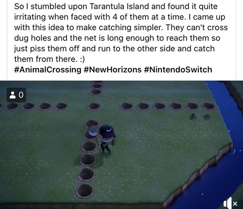 Cozy Gaming, Animal Crossing Funny, Animal Crossing Memes, Acnh Ideas, Acnh Inspo, Animal Crossing, Funny Stuff, Nintendo, Animals