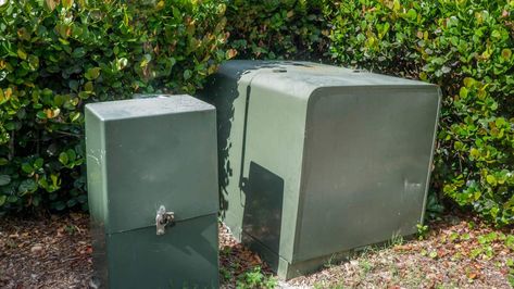 How to Hide a Transformer Box in Your Yard: 9 Tips and Ideas Hide Generator Outside, Hide Electrical Box In Yard, Electric Box Cover Up Ideas Outdoor, Hide Utility Box In Yard, Outdoor Electrical Box Cover, Generator Box, Hydrangea Petiolaris, Hiding Ugly, Electrical Box Cover