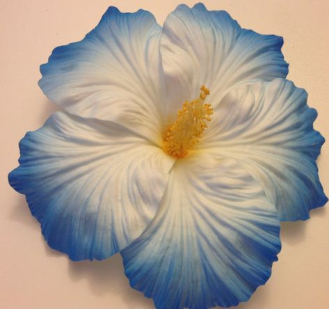 Hibiscus Wedding Blue Hibsicus Flower clip by msformaldehyde, $15.00 Tropical Flower Wedding, Hibiscus Wedding, Fav Flower, Pretty Flowers Pictures, Wedding Ready, Grow Gorgeous, Blue Hibiscus, Wedding Blue, Nothing But Flowers