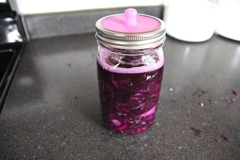 Simple Purple Sauerkraut Recipe - Aberle Home Purple Sauerkraut Recipe, Sauerkraut Recipe, Sauerkraut Recipes, Mason Jars, Condiments, At Home, Canning, Purple, Color