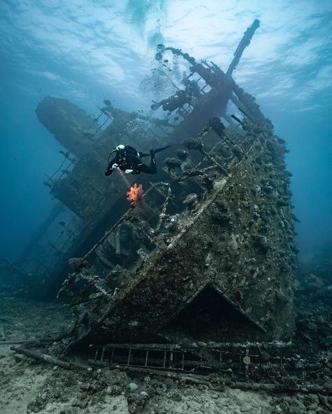 Wreck Diving, Marine Archaeology, Red Sea Diving, Great Blue Hole, Ship Wrecks, Ship Wreck, Sea Diving, Seek Adventure, Blue Hole