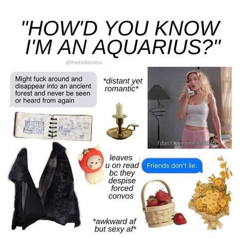 Aquarius Funny, Aquarius Things, Your Rising Sign, Aquarius Aesthetic, Aquarius Art, Rising Sign, Aquarius Rising, Aquarius Life, Aquarius Truths