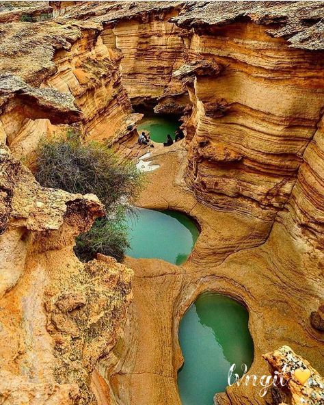 LVNGIT Design & Fashion 🇬🇧 on Instagram: “Chahkooh Canyon, Qeshm Island, Iran 🇮🇷 📸 👉🏽 @mm.ir.p ———————————————————— FOLLOW 👉🏽@lvngitdubai 👈🏽FOR A DAILY DOSE . . . . . . . . . . . .…” Qeshm Island, Iranian Culture, Beautiful Iran, Iran Pictures, Iran Travel, Money Vision Board, Future Travel, World Traveler, Design Fashion