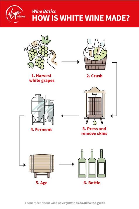 Wine Basics, Wine Chart, Wine 101, Wine Knowledge, White Wines, Wine Guide, Organic Wine, The Vineyard, Flow Chart