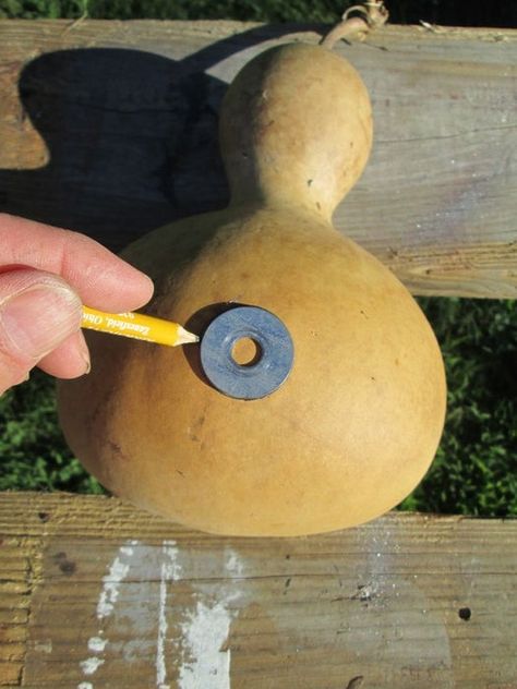 Gourds Diy, Gourd Birdhouses, Fall Gourds, Plastic Crates, Gourds Birdhouse, Decorative Gourds, Hand Painted Gourds, Gourds Crafts, Painted Gourds