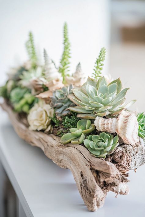 Bring the calming essence of coastal decor into your home with Succulent Driftwood Arrangements! Discover 10 inspiring ideas to liven up your space using these unique, sustainable arrangements. Succulents not only add a touch of greenery but also enhance your indoor air quality. Whether you're a novice or an experienced gardener, these coastal decor tips will elevate your interior design. Dive into the world of succulent driftwood arrangements and transform your living space today! Don't miss the chance to create a serene, eco-friendly atmosphere. #CoastalDecor #SucculentArrangements Succulents In Driftwood, Coastal Succulent Garden, Unique Succulent Arrangements, Driftwood Centerpiece Ideas, Succulent Table Arrangements, Fall Succulent Arrangements, Driftwood Centerpiece Wedding, Succulent Table Centerpieces, Centerpieces With Succulents